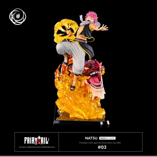 Fairy Tail Natsu Ikigai Ikigai By Tsume