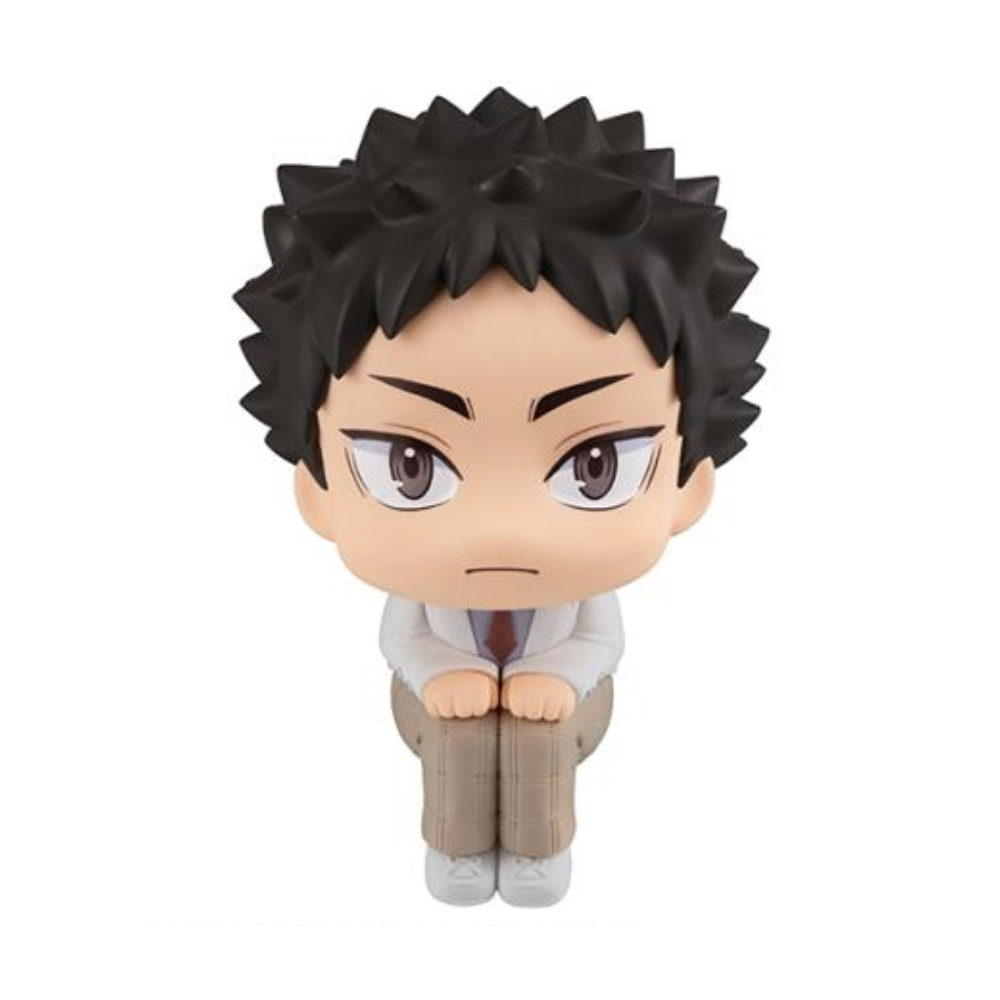 Haikyu!! Lookup Haikyu?? Hajime Iwaizumi Lookup Series By MegaHouse