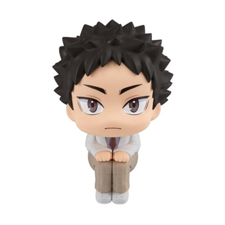 Haikyu!! Lookup Haikyu?? Hajime Iwaizumi Lookup Series By MegaHouse